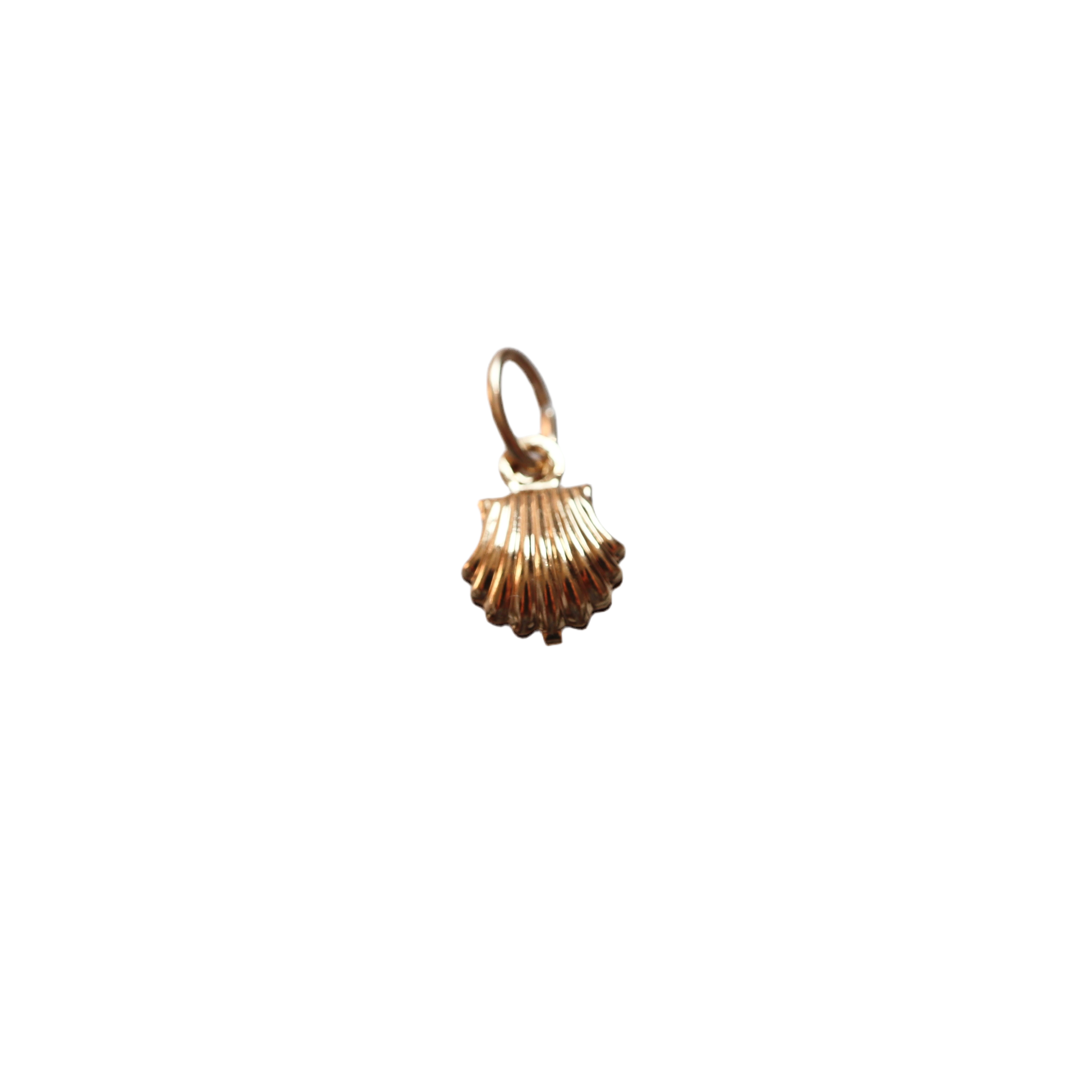 Shell Charm