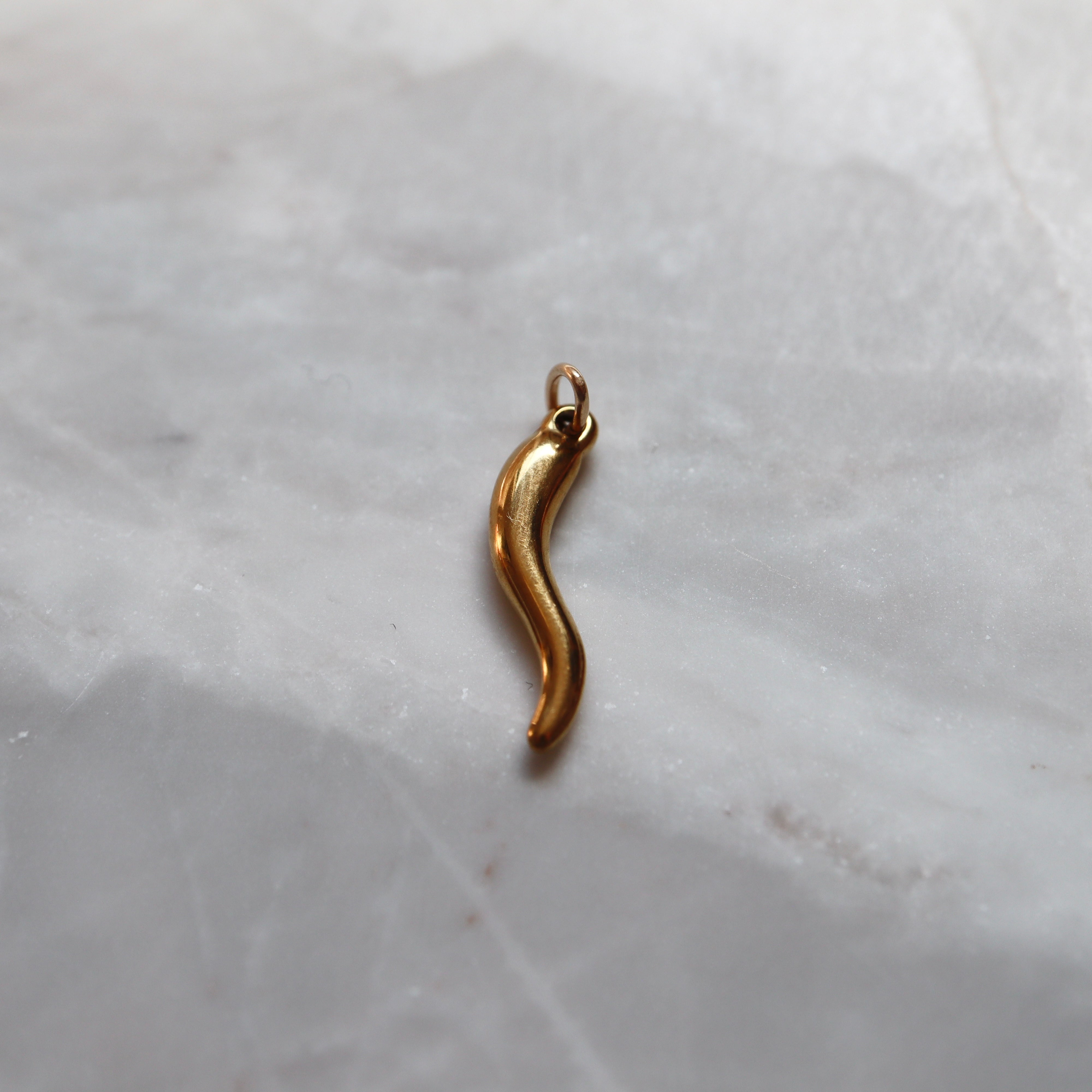 Italian Horn Pendant