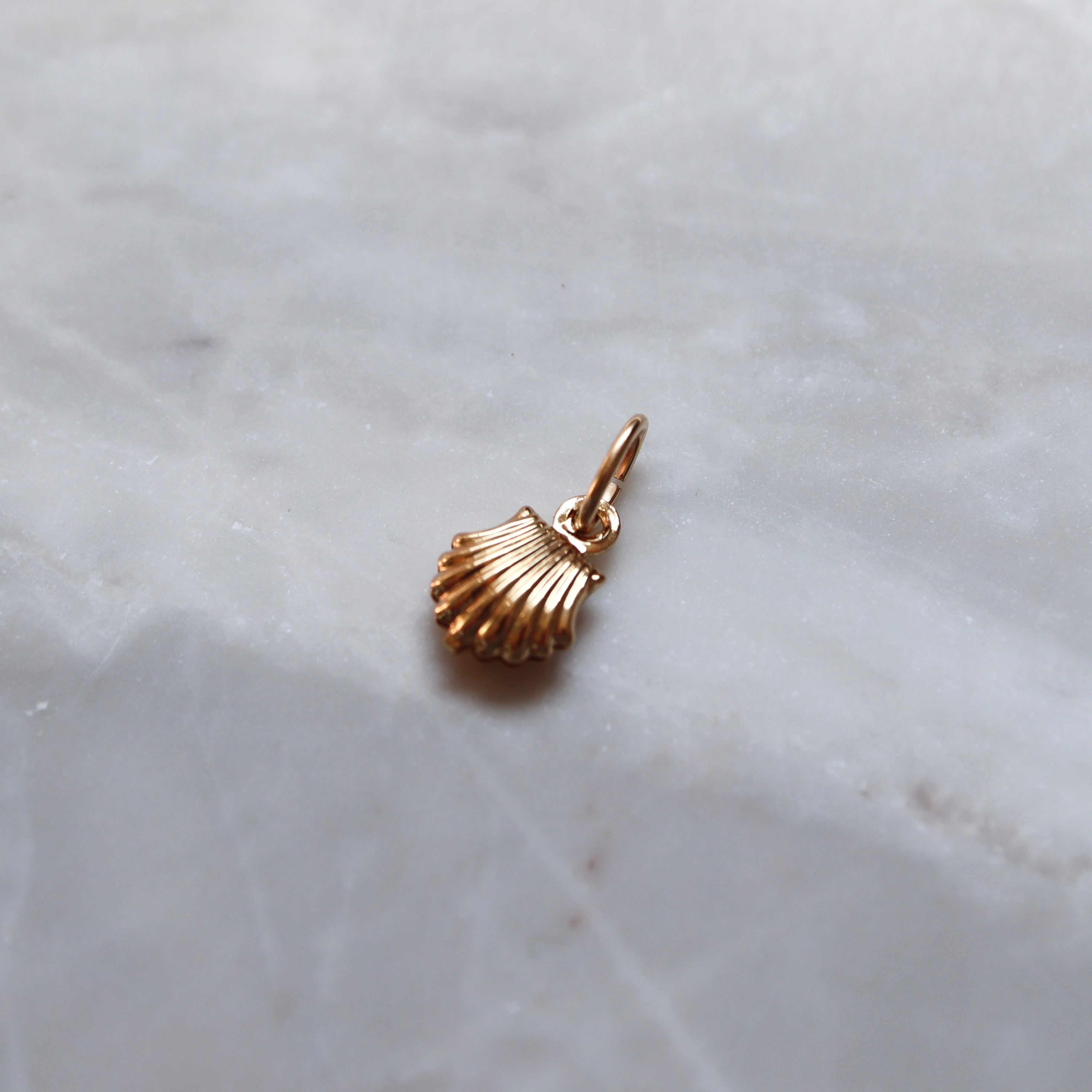 Shell Charm
