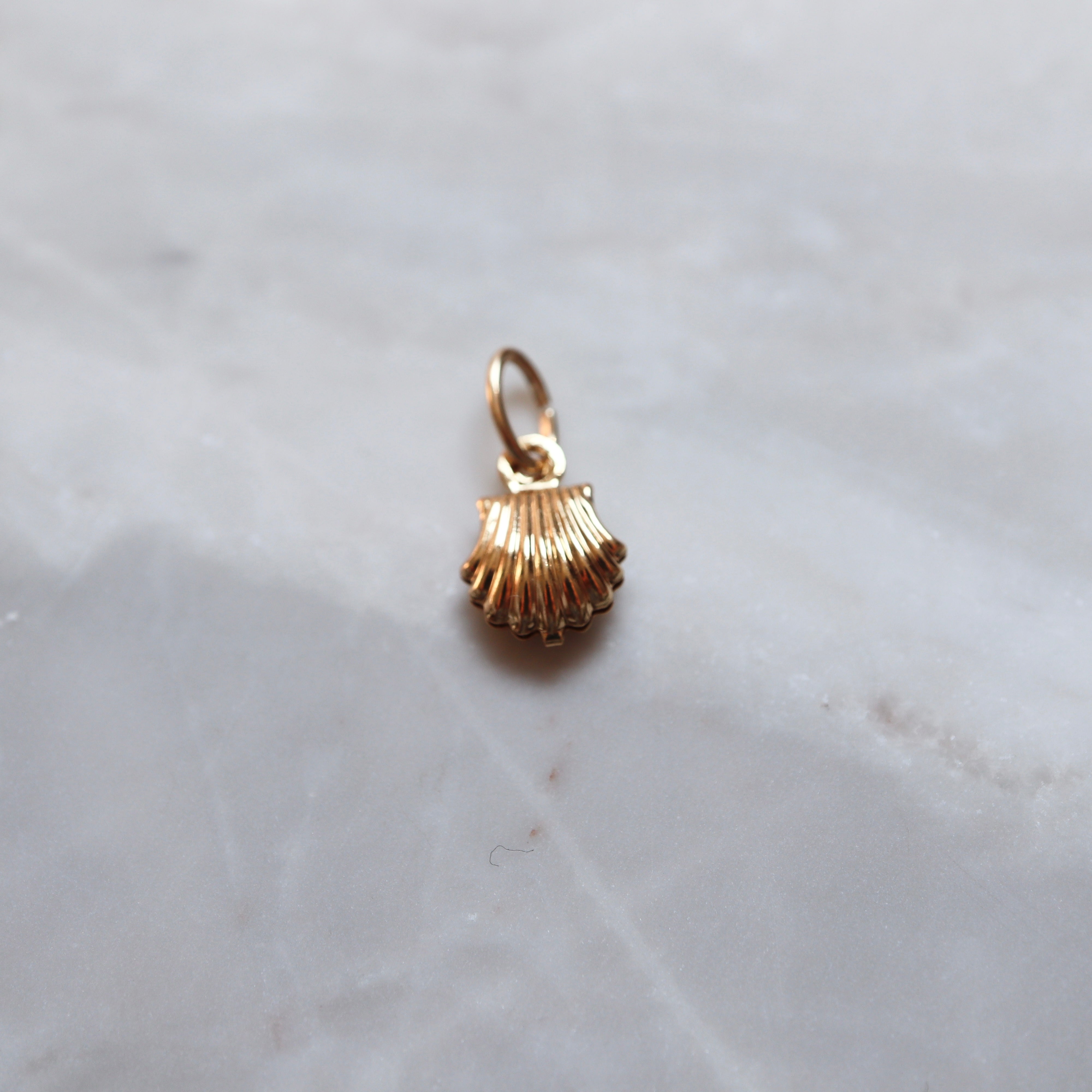 Shell Charm
