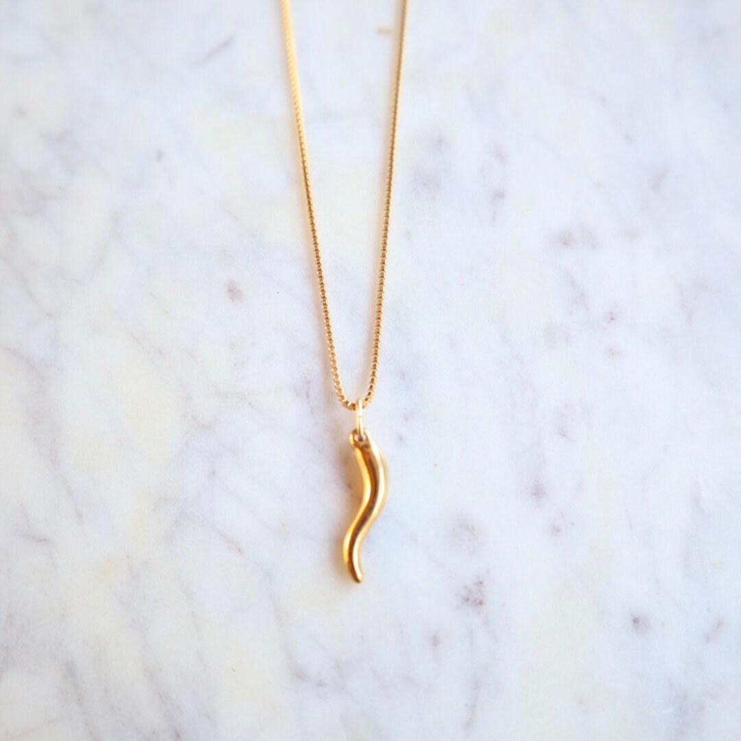 ITALIAN HORN & CROSS | Vintage Coin Necklace